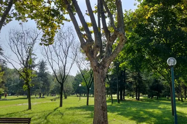 Erdem Saker Botanik Parkı - Resim 16