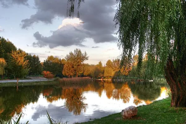 Erdem Saker Botanik Parkı - Resim 2