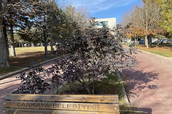Çankaya Belediyesi Ahlatlıbel Tesisleri - Resim 8