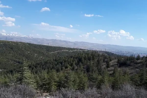 Çankaya Belediyesi Ahlatlıbel Tesisleri - Resim 6