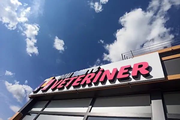 Pati Beurre Veteriner - Resim 18
