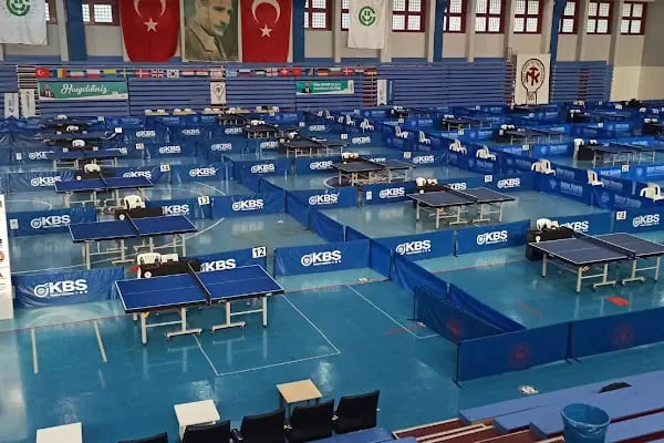 Özdemir Sabancı Kapalı Yüzme Havuzu - Resim 2