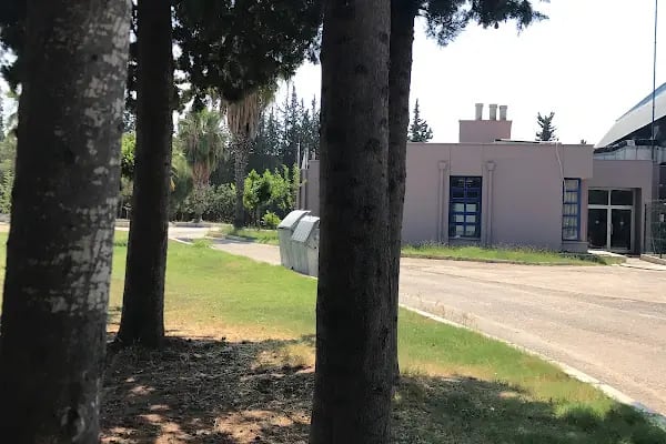 Özdemir Sabancı Kapalı Yüzme Havuzu - Resim 9