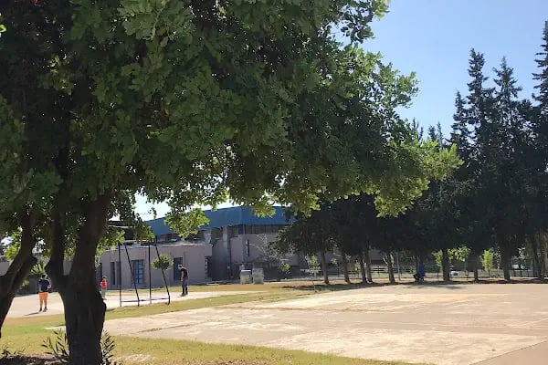 Özdemir Sabancı Kapalı Yüzme Havuzu - Resim 5