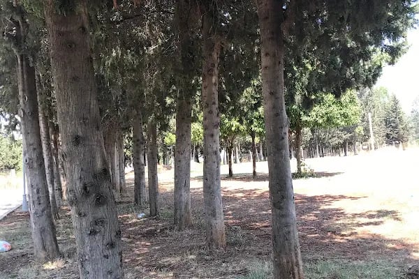 Özdemir Sabancı Kapalı Yüzme Havuzu - Resim 11