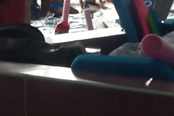 Özdemir Sabancı Kapalı Yüzme Havuzu - Resim 7