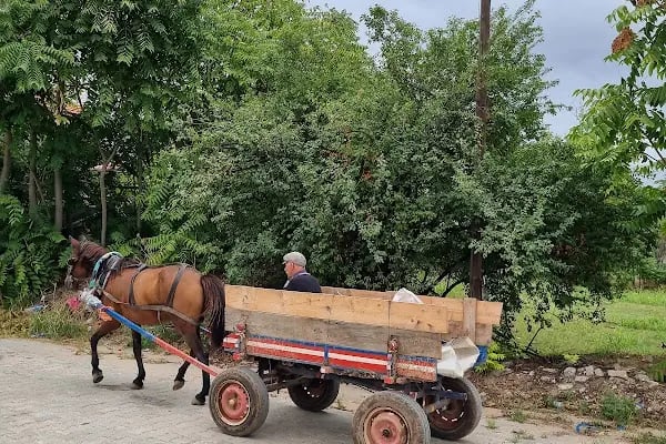 Osman İnci Müzesi - Resim 4