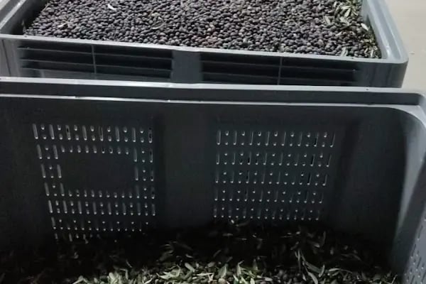 GEMLİKten Zeytin Yağı Fabrikası - Resim 5