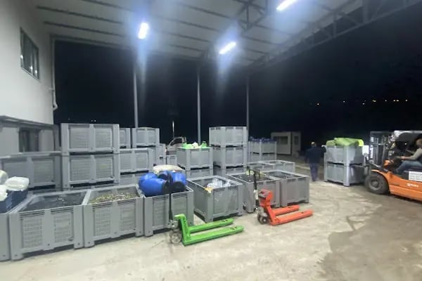 GEMLİKten Zeytin Yağı Fabrikası - Resim 3