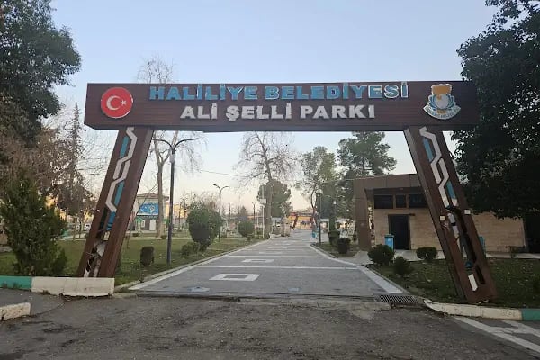 ALİ ŞELLİ PARKI - Resim 2
