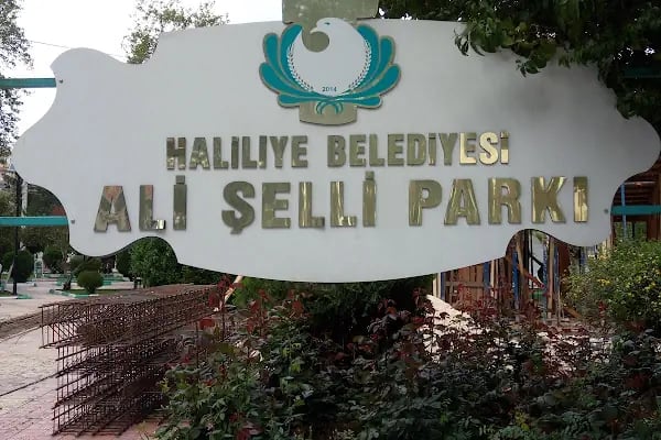 ALİ ŞELLİ PARKI - Resim 11
