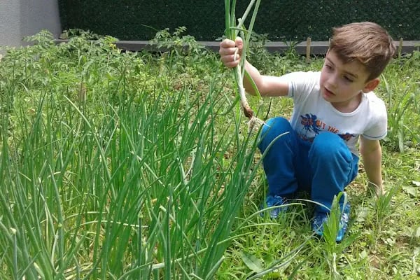 Ataşehir Mavi Şapka Montessori - Resim 18
