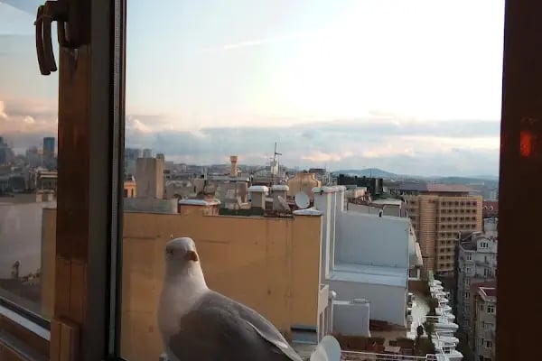 Taksim Tenis - Resim 6