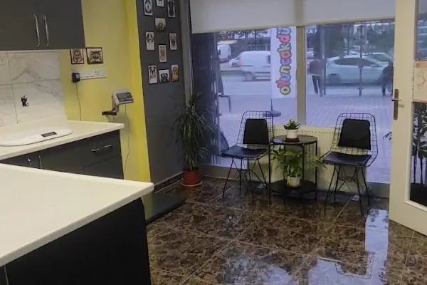 Patikon Veteriner Kliniği - Resim 6