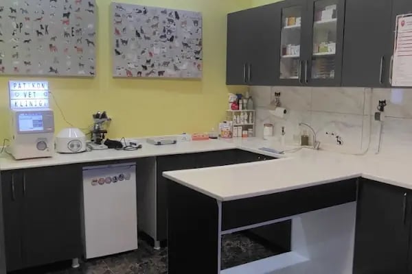 Patikon Veteriner Kliniği - Resim 17
