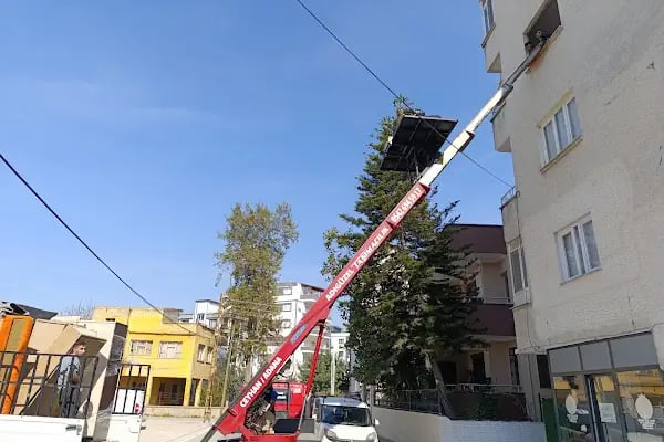 Adıgüzel Nakliyat Ambarı - Resim 2