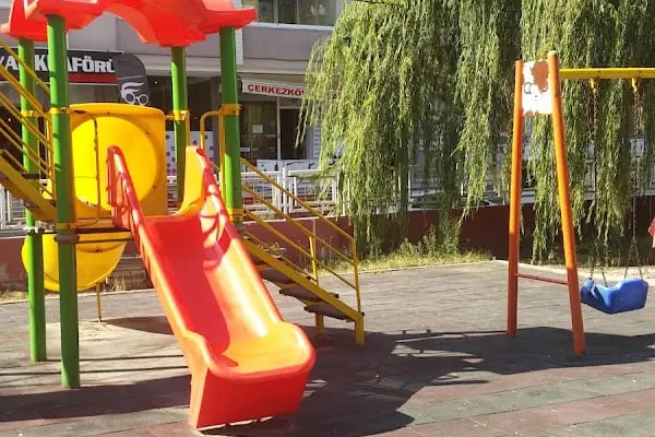 Aras Kargo Papatya Şubesi - Resim 10