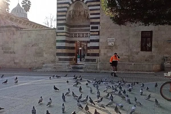 Ziya Paşa Türbesi - Resim 20