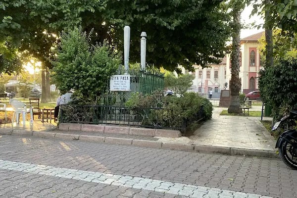 Ziya Paşa Türbesi - Resim 5