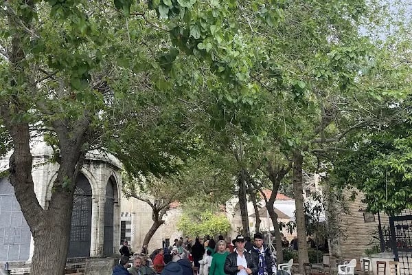 Ziya Paşa Türbesi - Resim 8