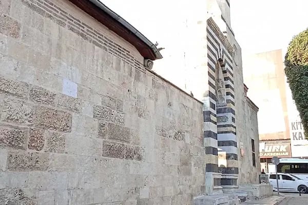 Ziya Paşa Türbesi - Resim 14