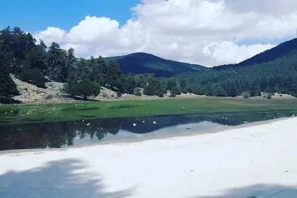 Çamkuyusu Sedir Araştırma Ormanı - Resim 17