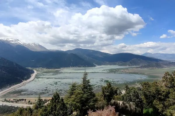 Çamkuyusu Sedir Araştırma Ormanı - Resim 2