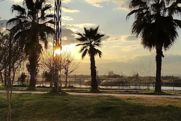 Domino's Pizza Şanlıurfa Birecik - Resim 12