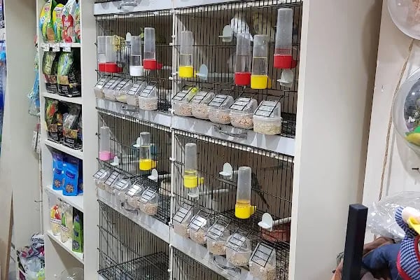Mercan Pet Shop - Resim 16