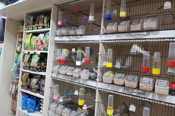 Mercan Pet Shop - Resim 19