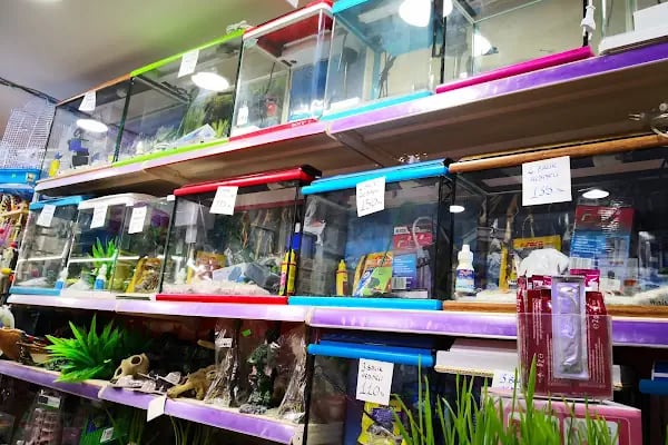 Mercan Pet Shop - Resim 4