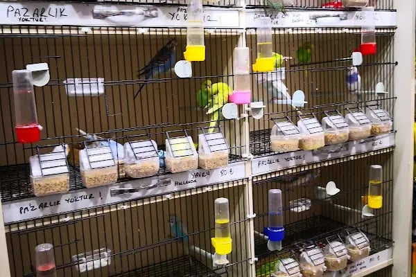 Mercan Pet Shop - Resim 12