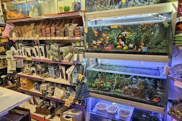 Mercan Pet Shop - Resim 13
