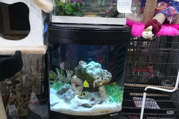 Mercan Pet Shop - Resim 9
