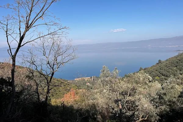 2M Gayrimenkul Yatırım Danışmanlık - Resim 4