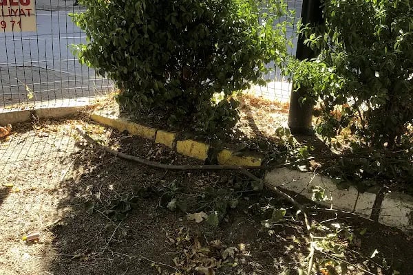 Şehit P. Teğmen Yılmaz Uyanık Parkı - Resim 2