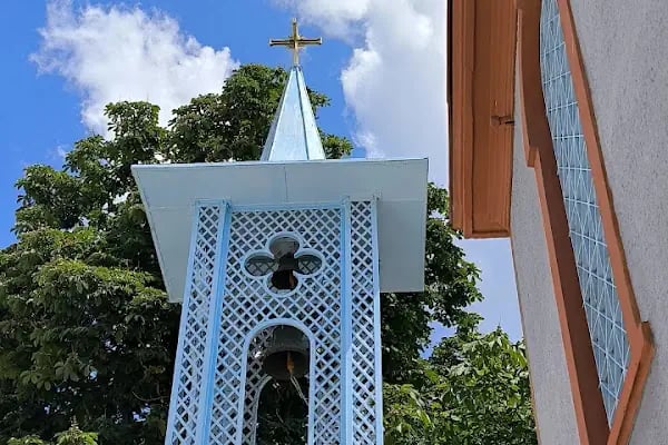 Boyacıköy Panayia Evangelistra Kilisesi - Resim 8