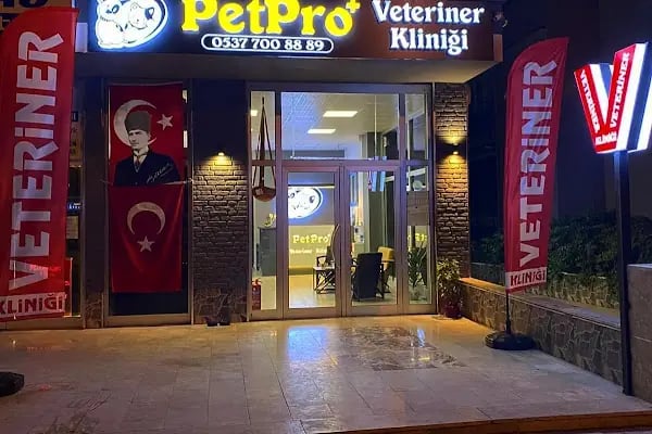 PetPro Veteriner Kliniği - Resim 3