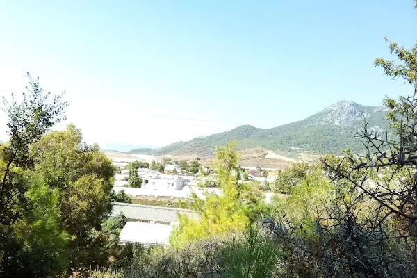 Çiğdem Sitesi - Resim 7