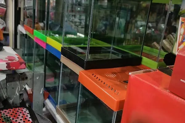 Talha Akvaryum Pet Shop - Resim 4
