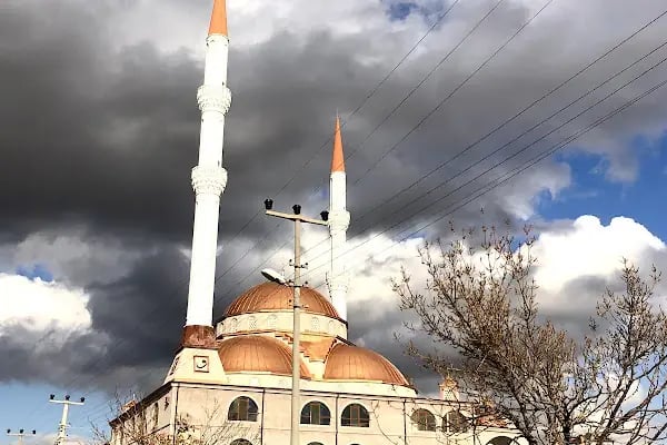 HOCA AHMET YESEVİ CAMİİ - Resim 2