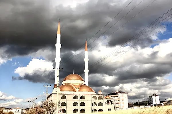 HOCA AHMET YESEVİ CAMİİ - Resim 10