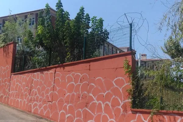 Hasan Adalı Anadolu Lisesi - Resim 6