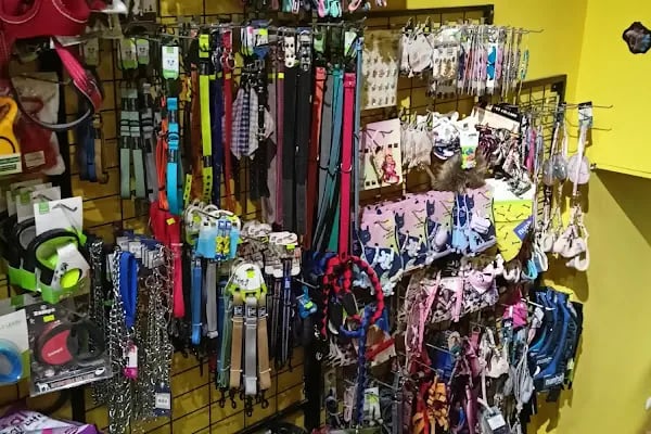 Patilidost Petshop - Resim 3