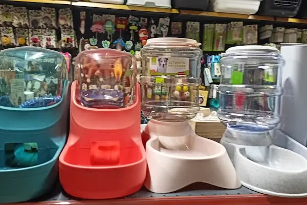 Patilidost Petshop - Resim 13