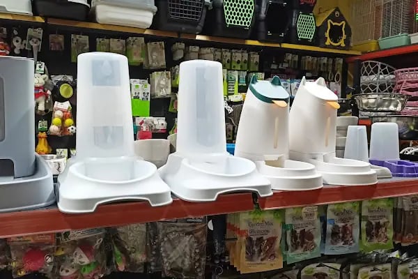 Patilidost Petshop - Resim 19