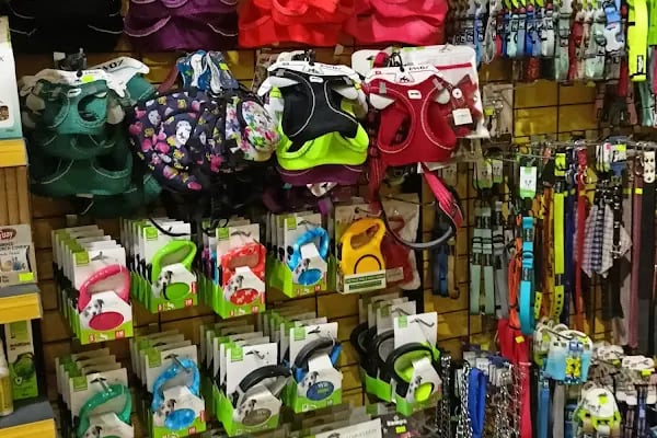 Patilidost Petshop - Resim 9