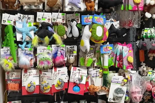 Patilidost Petshop - Resim 12