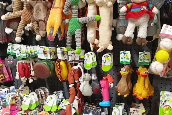 Patilidost Petshop - Resim 6