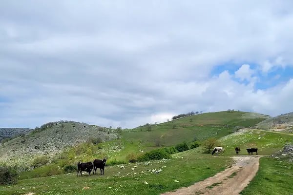 Gemlik Devlet Hastanesi - Resim 17